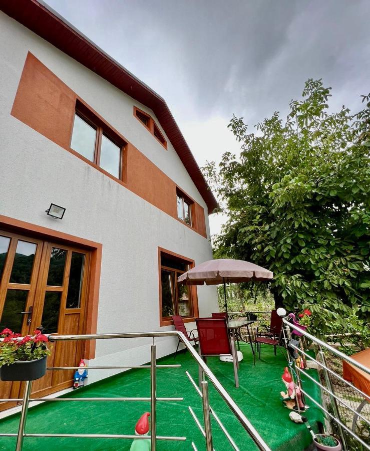 הוילה נהויו Casa Camelia מראה חיצוני תמונה